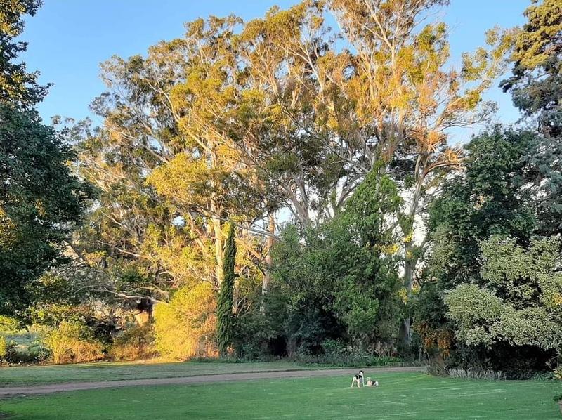 4 Bedroom Property for Sale in Queenstown Rural Eastern Cape